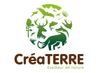 CREATERREQUADRI_BASELINE.png