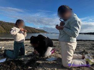 IMG_0945_1.jpg