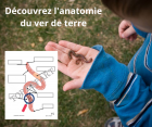 Dcouvrez_lanatomie_du_verre_de_terre.png