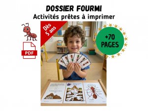 dossieractivitespedagogiquescycleviefourmi.jpg