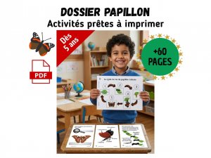 dossieractivitespapillonmaternelleprimaire.jpg