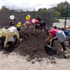IMG_20240724_223658.jpg