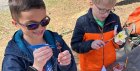newberryelementaryschoolRebeccaDerstine1171x593.jpg
