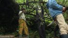 1200x680_sc_irouneforestschoolbrest00001705.jpeg